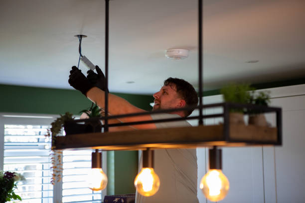 Best Generator Installation Services  in Circle Pines, MN